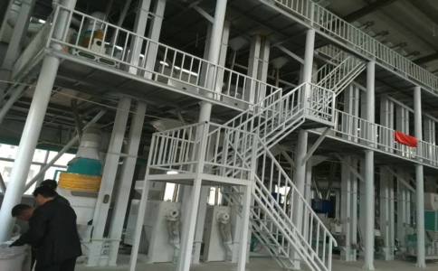 玉米加工機(jī)械采用氣力運(yùn)輸對生產(chǎn)玉米有哪些好處?(圖1) 玉米加工機(jī)械